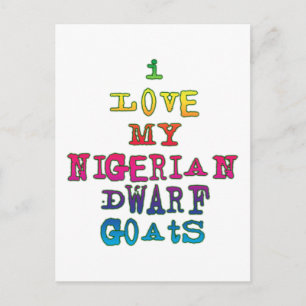 I Love My Nigerian Dwarf Goats Postcard