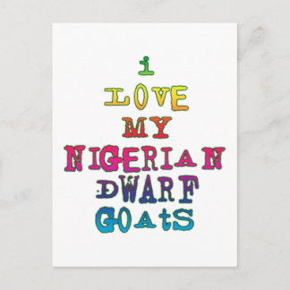 I Love My Nigerian Dwarf Goats Postcard
