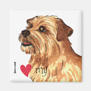 I Love my Norfolk Terrier Magnet
