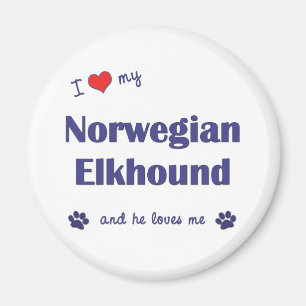 I Love My Norwegian Elkhound (Male Dog) Magnet