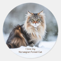 I Love My Norwegian Forest Cat In The Snow 