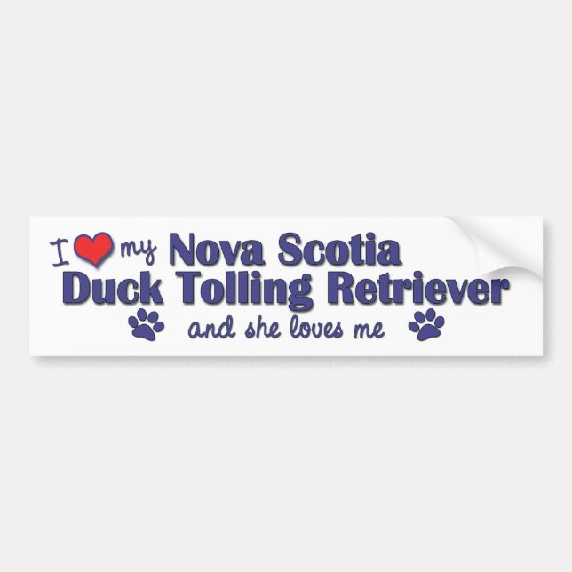 I Love My Nova Scotia Duck Tolling Retriever (She) Bumper Sticker (Front)