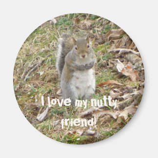 I love my nutty Friend, Squirrel Magnet