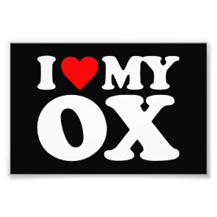 I LOVE MY OX PHOTO PRINT