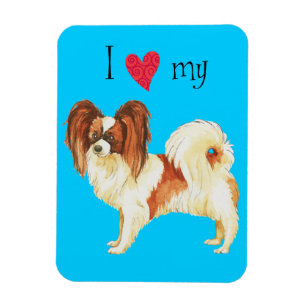 I Love my Papillon Magnet