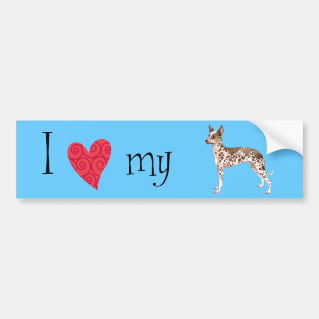 I Love my Peruvian Inca Orchid Bumper Sticker (Front)