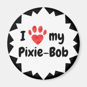I Love My Pixie-Bob Cat Magnet
