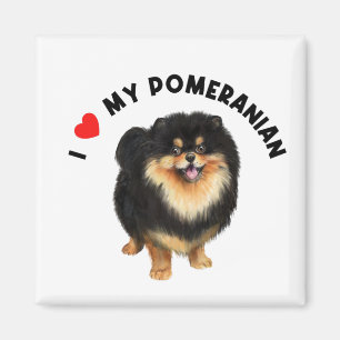 I Love My Pomeranian Cute Pomeranian Puppy Dog Art Magnet