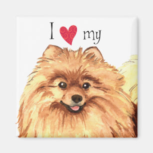 I Love my Pomeranian Magnet