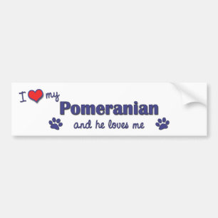 I Love My Pomeranian (Male Dog) Bumper Sticker