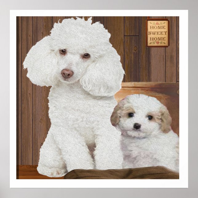 I love my Poodle Poster (Front)