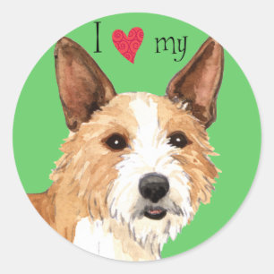 I Love my Portuguese Podengo Pequeno Classic Round Sticker