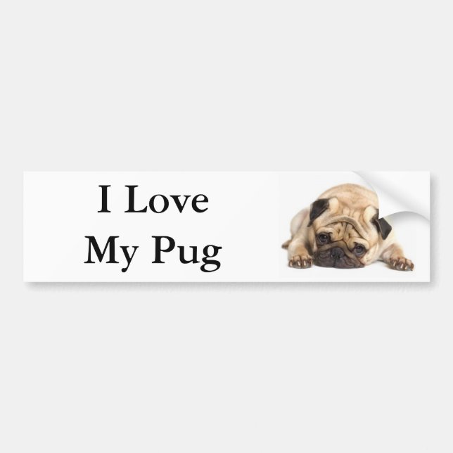 I Love My Pug Bumper Sticker (Front)