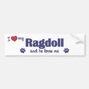 I Love My Ragdoll (Male Cat) Bumper Sticker