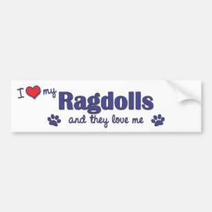 I Love My Ragdolls (Multiple Cats) Bumper Sticker