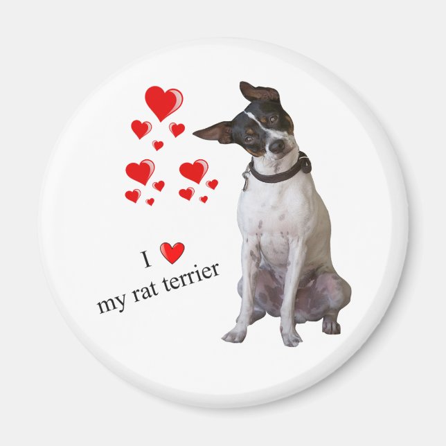 I Love my Rat Terrier Magnet (Front)