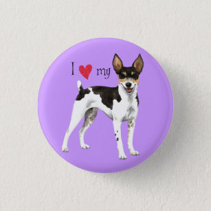 I Love my Rat Terrier Pinback Button