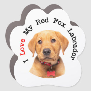 I Love My Red Fox Labrador Car Magnet