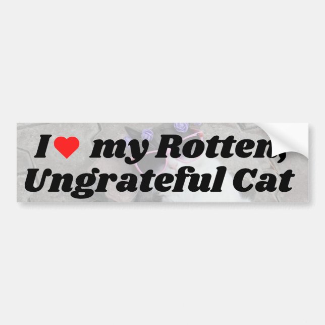 I love My Rotten Ungrateful Cat Bumper Sticker (Front)