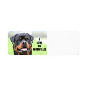 I Love my Rottweiler