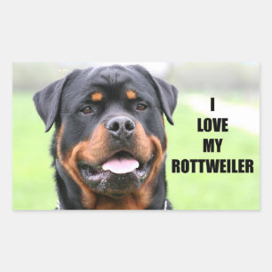 I Love My Rottweiler Sticker