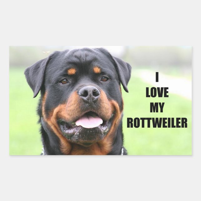 I Love My Rottweiler Sticker (Front)