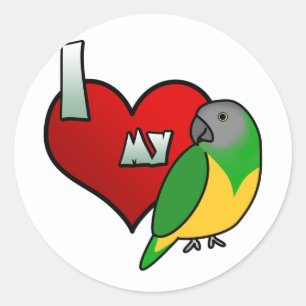 I Love my Senegal Parrot Classic Round Sticker