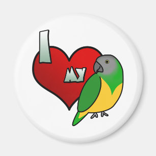 I Love my Senegal Parrot Magnet