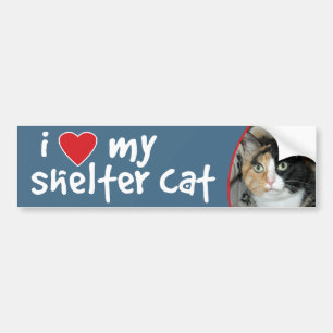 I Love My Shelter Cat Calico Bumper Sticker/Decal Sticker