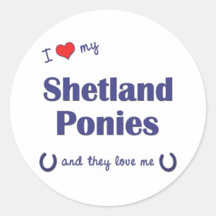 I Love My Shetland Ponies (Multiple Ponies) Classic Round Sticker