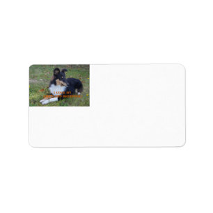 I Love My Shetland Sheepdog Black Tri Label