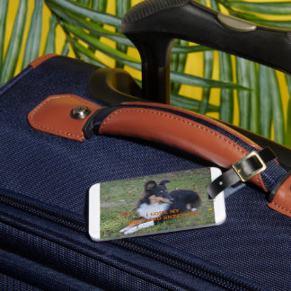 I Love My Shetland Sheepdog Black Tri Luggage Tag