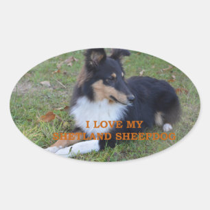 I Love My Shetland Sheepdog Black Tri Oval Sticker