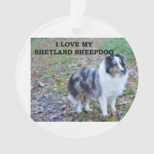 I Love My Shetland Sheepdog Ornament