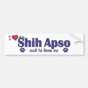 I Love My Shih Apso (Male Dog) Bumper Sticker