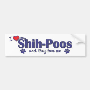 I Love My Shih-Poos (Multiple Dogs) Bumper Sticker