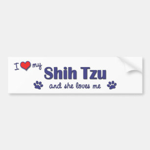 I Love My Shih Tzu (Female Dog) Bumper Sticker
