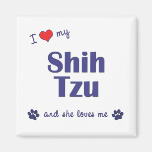 I Love My Shih Tzu (Female Dogs) Magnet