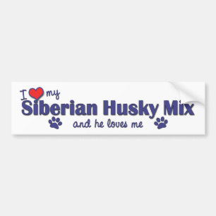 I Love My Siberian Husky Mix (Male Dog) Bumper Sticker