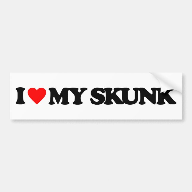 I LOVE MY SKUNK BUMPER STICKER (Front)