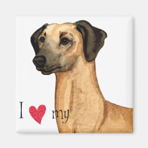 I love my Sloughi Magnet