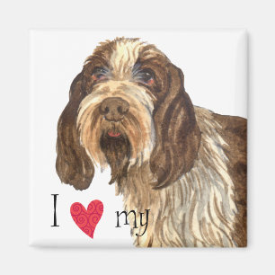 I Love my Spinone Italiano Magnet