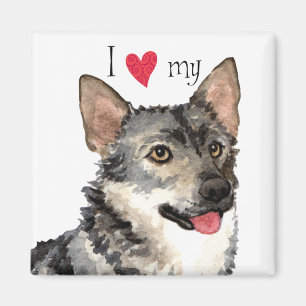 I Love my Swedish Vallhund Magnet