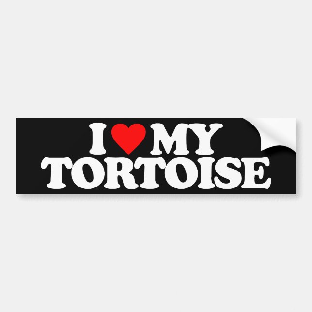 I LOVE MY TORTOISE BUMPER STICKER (Front)