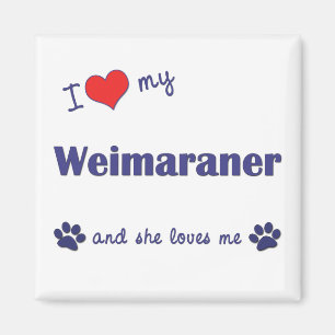 I Love My Weimaraner (Female Dog) Magnet