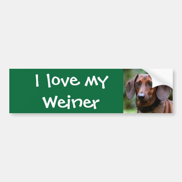 Weiner Dog Bumper Stickers & Car Stickers Zazzle CA