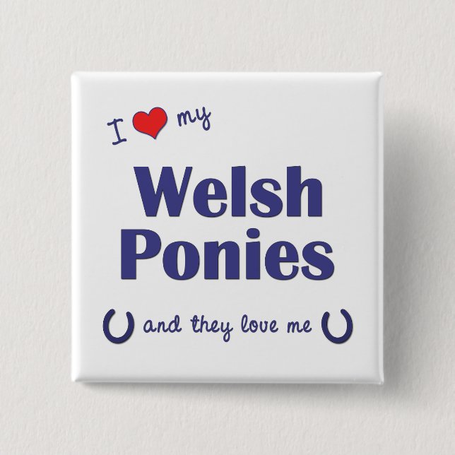 I Love My Welsh Ponies (Multiple Ponies) 2 Inch Square Button (Front)