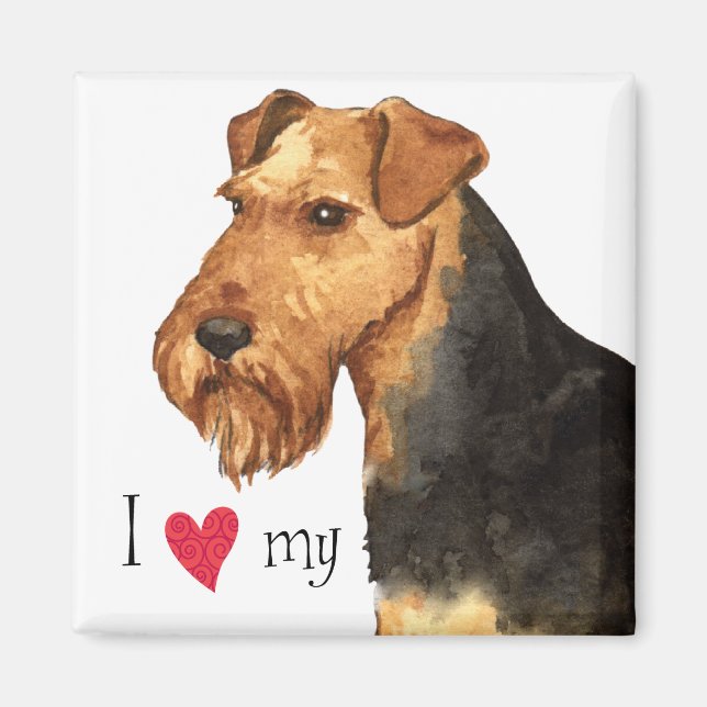 I Love my Welsh Terrier Magnet (Front)