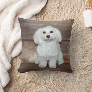 I Love My White Buddy Maltese Throw Pillow