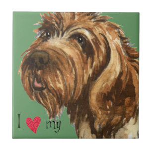 I Love my Wirehaired Pointing Griffon Tile